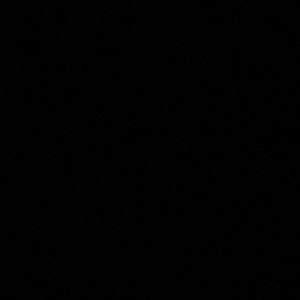 Meet your Posher, Saul